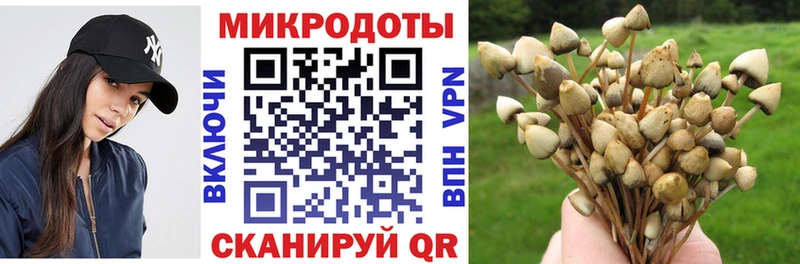 hydra ссылка  darknet состав  Псилоцибиновые грибы прущие грибы  Дюртюли 